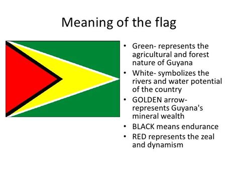 guyana flag colors meaning for kids